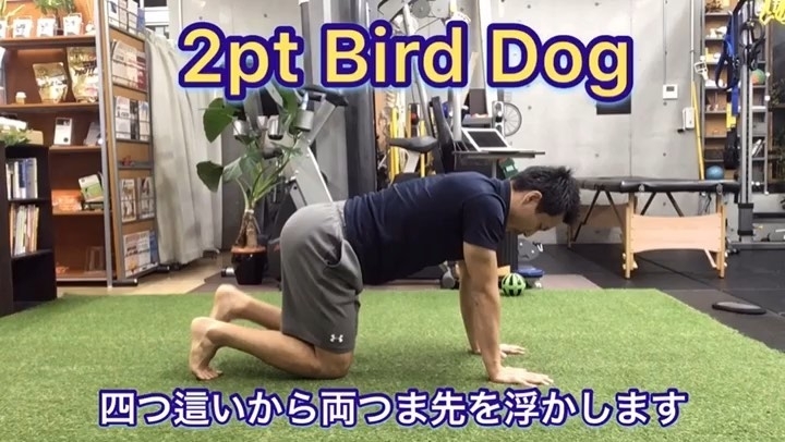 「体幹強化/2pt Bird Dog【行徳・南行徳でボディメイクできるパーソナルトレーニングジム】」