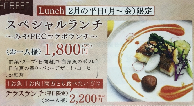 「2月限定スペシャルランチ」