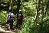 涼しさ感じる登山道「入笠山山頂は「展望の特等席」」