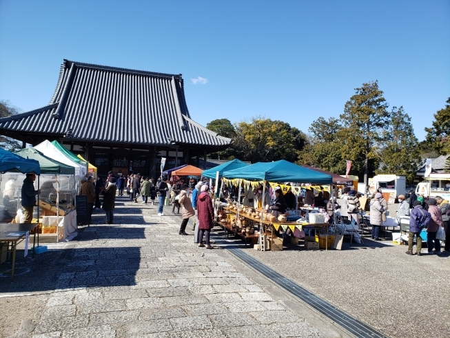 天気も良かった～「風ニモマケズ…　」