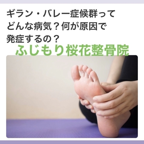 ギランバレー症候群とは どんな病気か どんな症状か ふじもり桜花整骨院のニュース まいぷれ 八王子市
