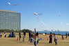 「『浦安市子どもたこあげ大会（浦安市）』」