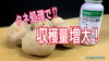「【個数増】ジャガイモの収穫量が増大します♪ タネのハシモト」