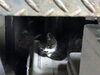 「新入り猫さん」