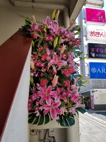 このお花はどこに飾ってあるんでしょうか？「開店１５周年お祝いの花」