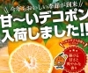 「甘~いデコポン入荷しました」