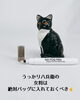 オススメよ！「うにらおすすめ！バッグに入れときなはれ！！NO FOG PEN」