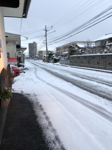 雪「雪積もったぁ」