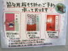 「ひな祭り」