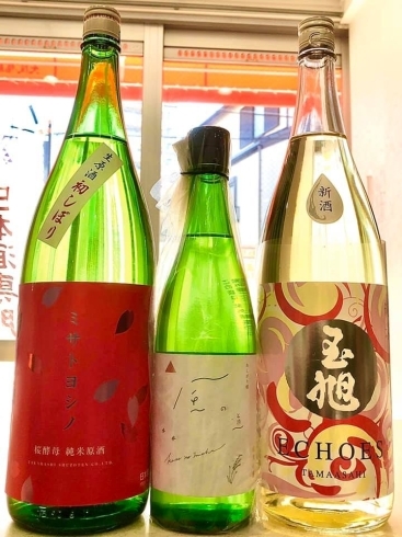 「～春光～本日も25時まで営業♪【福島区 日本酒セラー HARETOKE】」