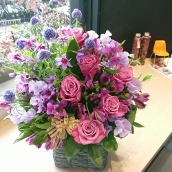 ぞっとするような 見積り 神経障害 フロー リスト 花 えん reef since2006 jp