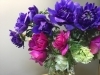 フレッシュフラワー 入荷しました 花のみどりや 駅前本店のニュース まいぷれ 新発田 胎内 聖籠