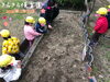 雑草抜きのお手伝い♡「チューリップさん大きくなってね♡【交野市・小規模保育園】」