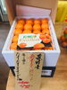 「完熟きんかんたまたま入荷しています♪エクセレントもありますよ！【黒木商店】」