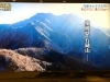 「日本テレビ「ザ！鉄腕！DASH！！」はご覧になりましたか？」