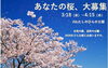 「3/18から4/15まで　今年もやります！桜フォトキャンペーン」