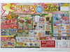 チラシ表「感謝祭最終日‼️」