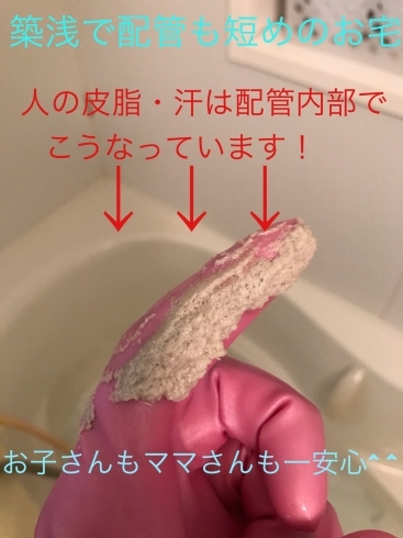 全体の一部の汚れです！「見える汚れより見えない細菌！」