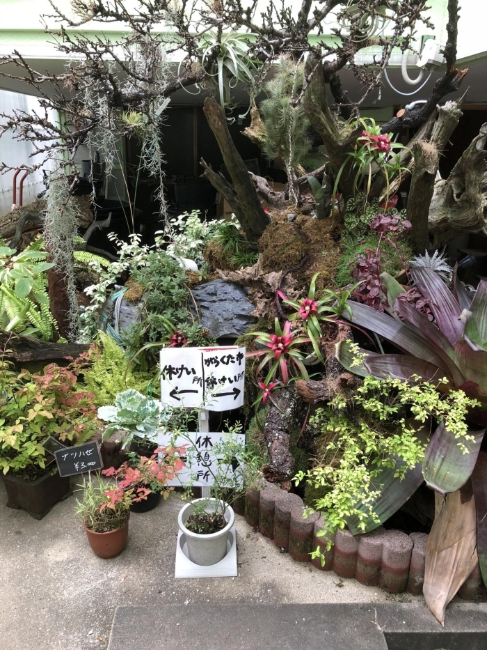 植物好きなら誰もが知る 植木の老舗卸問屋 花宇宙 さん かわいいなさんの空中散歩 まいぷれ 川西 猪名川 植物好きなら誰もが知る 植木の老舗卸問屋 花宇宙 さん かわいいなさんの空中散歩 まいぷれ 川西 猪名川
