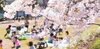 「『お花見期間における市川市が管理する公園・河川敷緑地等の利用（市川市）』」