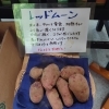 レッドムーン