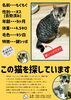迷いネコ「迷いネコ&トリ情報」