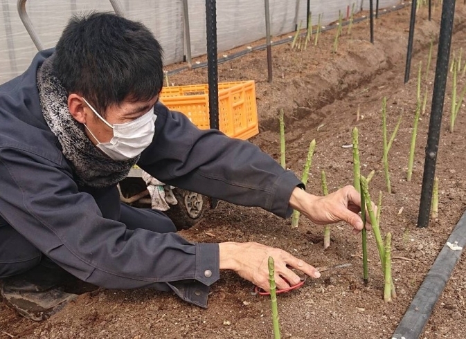 「職場実習☆彡」