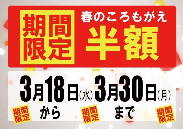 「【緊急告知！】年に一度の半額キャンペーン★」