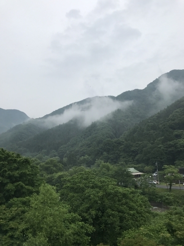 谷川岳麓「【中止】4/12.13自然の中でフィトンチット殺菌性吸収ツアー募集まもなく終了！西船橋　ついてる爺爺」