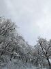 「雪の華」