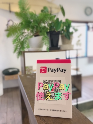 6月まで！5%還元キャンペーン中！！「6月まで！！PayPayでのお支払いで5%還元キャンペーン！！」