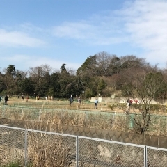 本日はかもめ会と谷津クラブ様ご来場です