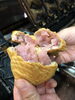 期間限定　桜あん　200円(税込)「西海橋物産館　鯛宝楽　期間限定鯛焼き　桜あん　ぜひご賞味ください♪」