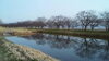 「福島潟　潟みち散歩③」