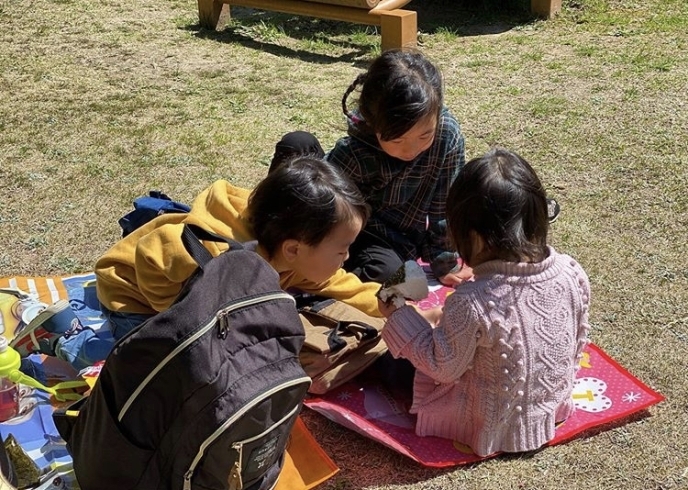 「子どもたちもストレス発散！新居浜市民の森へ」