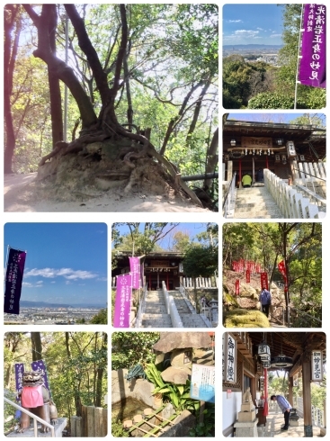 星田妙見宮「3月24日は牡羊座の新月です!宇宙のリズムを味方につけて夢叶えましょう!」