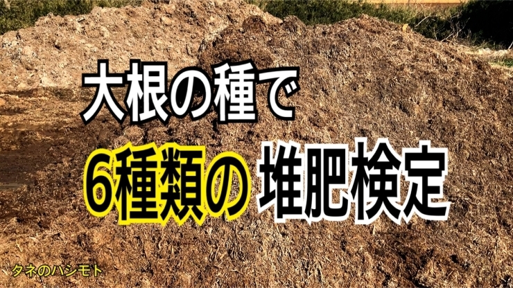 「使える堆肥の見分け方　タネのハシモト」