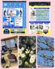 「春だから 運動しましょう」