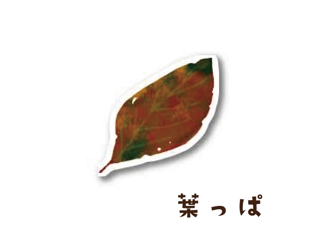 「葉っぱみたいなアイウェアKAMUROの茶色いメガネ」