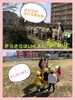 桜が咲いてきたよ♡「春が来た♡【交野市・小規模保育園】」