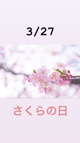 3/27さくらの日「3月27日は、『さくらの日』です。本日のおすすめmenu✨ひさごカレー……¥700-(サラダ、エビ汁)付きます。ピア万代にお越しの際は是非食べに来て下さい。( * ́꒳`*)੭)) 」