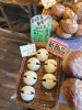 「本日より新商品発売」