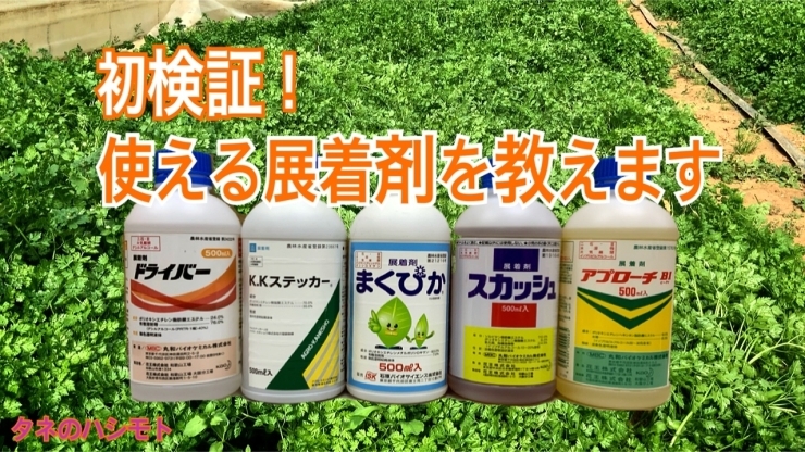 「展着剤の効果(農薬散布に必要不可欠)  タネのハシモト」