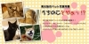イングリッシュポインター メス老犬 名前はムム 東大阪市ペット写真特集 うちのこどやぁっ まいぷれ 東大阪市
