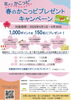 春のかこっピプレゼントキャンペーン「「花よりかこっピ　春のかこっピプレゼントキャンペーン」4月1日から開催中です！」