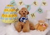 Happybirthday　立くん「Anniversaryphoto　(*´ω｀)」