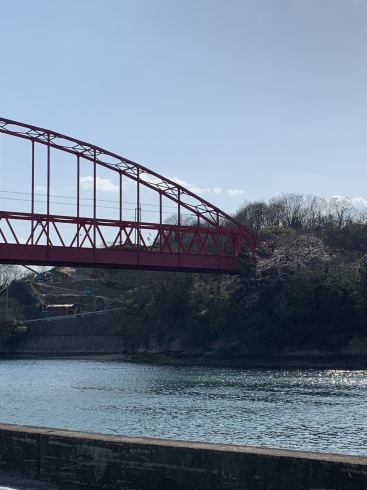 向島大橋「往療に行ってきました。」