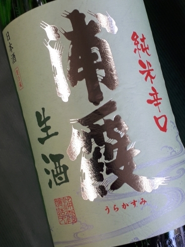⭐浦霞 純米辛口 生酒 1800ml ・ 原料米 宮城県産まなむすめ アルコール度数 16度 ⭐『限定の浦霞が入荷しております。 辛口の生です』