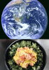 「4月12日『✨世界宇宙飛行の日✨』1961年(昭和36年)……本日のおすすめmenu✨たたき丼……¥680-(マグロ、ぶり、スズキ)です。ピア万代にお越しの際は是非食べに来て下さい。(｀✧ω✧´)」