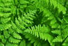 植物は元気そのもの！「みのり学習塾の対応」